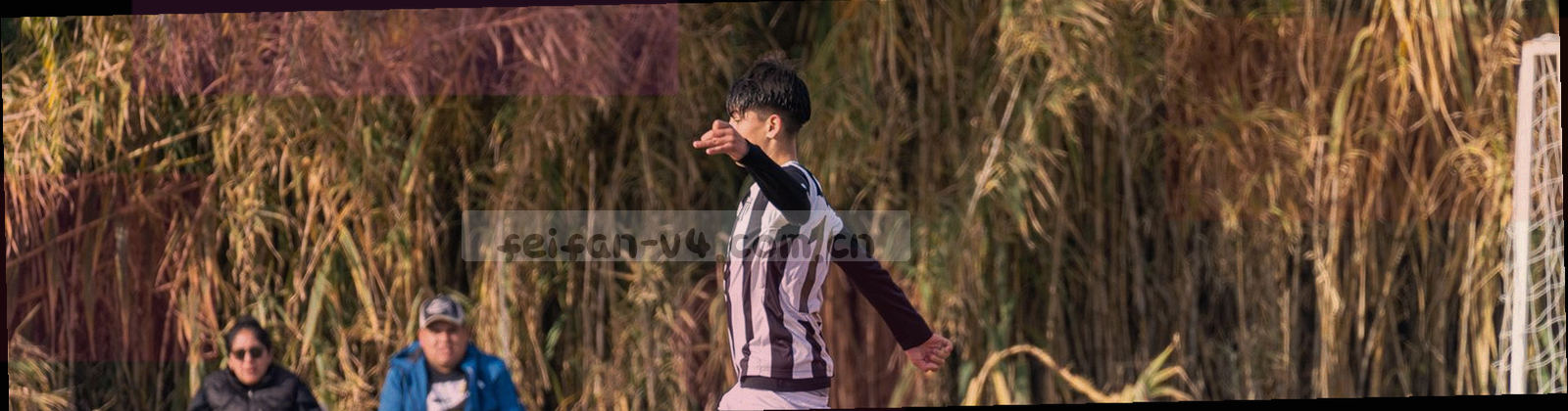 深墨蓝底上依次亮起的横向光条，节奏由密到疏，象征按版本推进的更新流